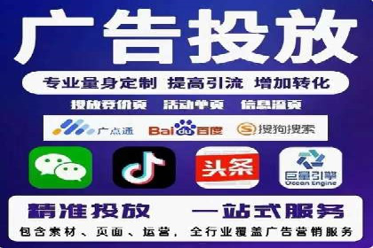 某企业通过SEO和SEM双管齐下实现业绩飞跃的案例